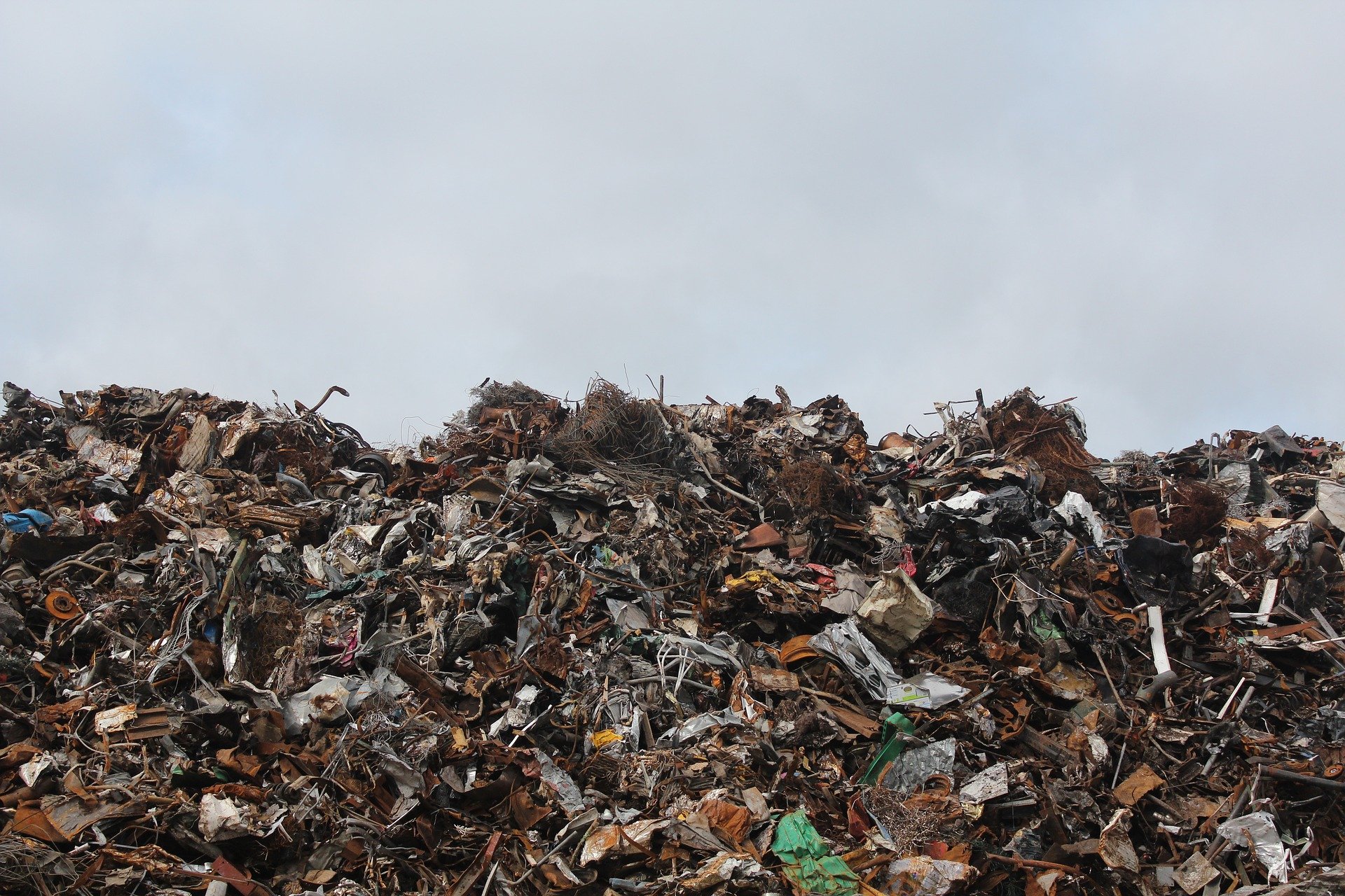 Interwencja w sprawie składowiska odpadów w Pawłowie Trzebnickim