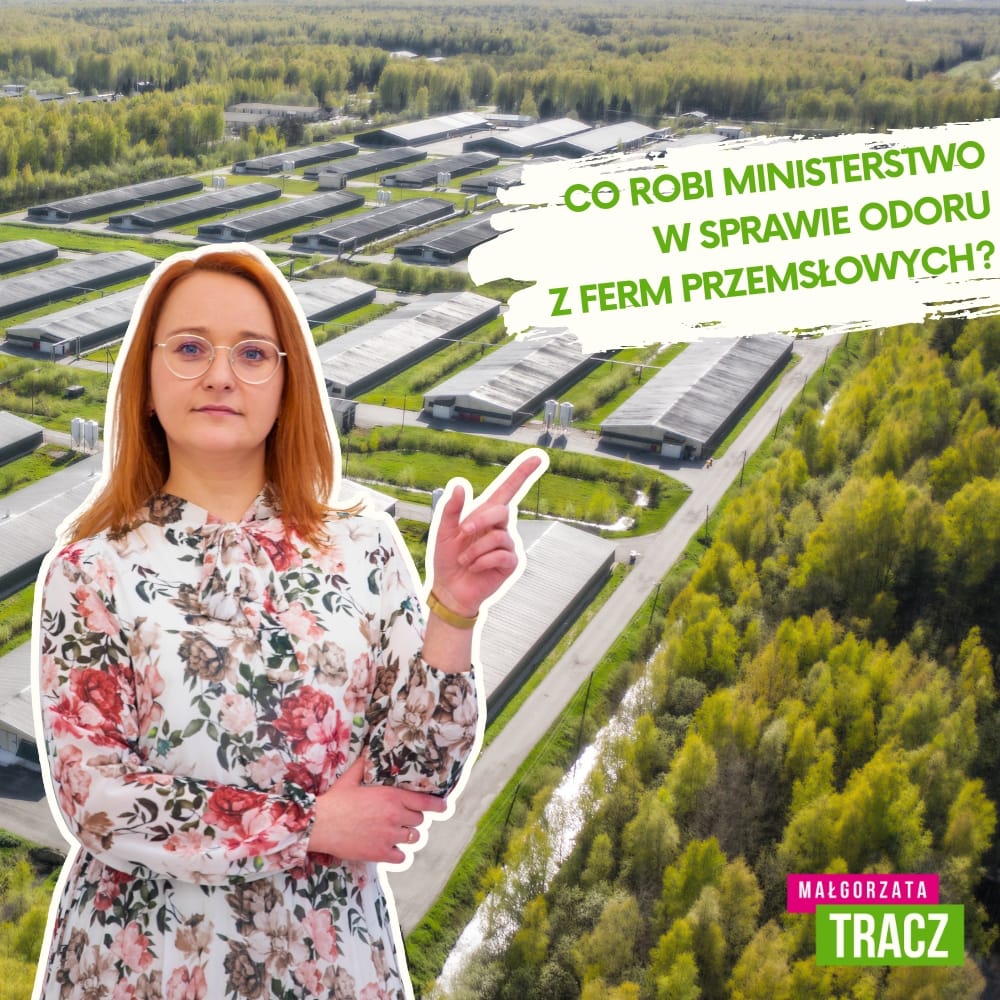 Zapytania do Ministerstwa Klimatu i Środowiska