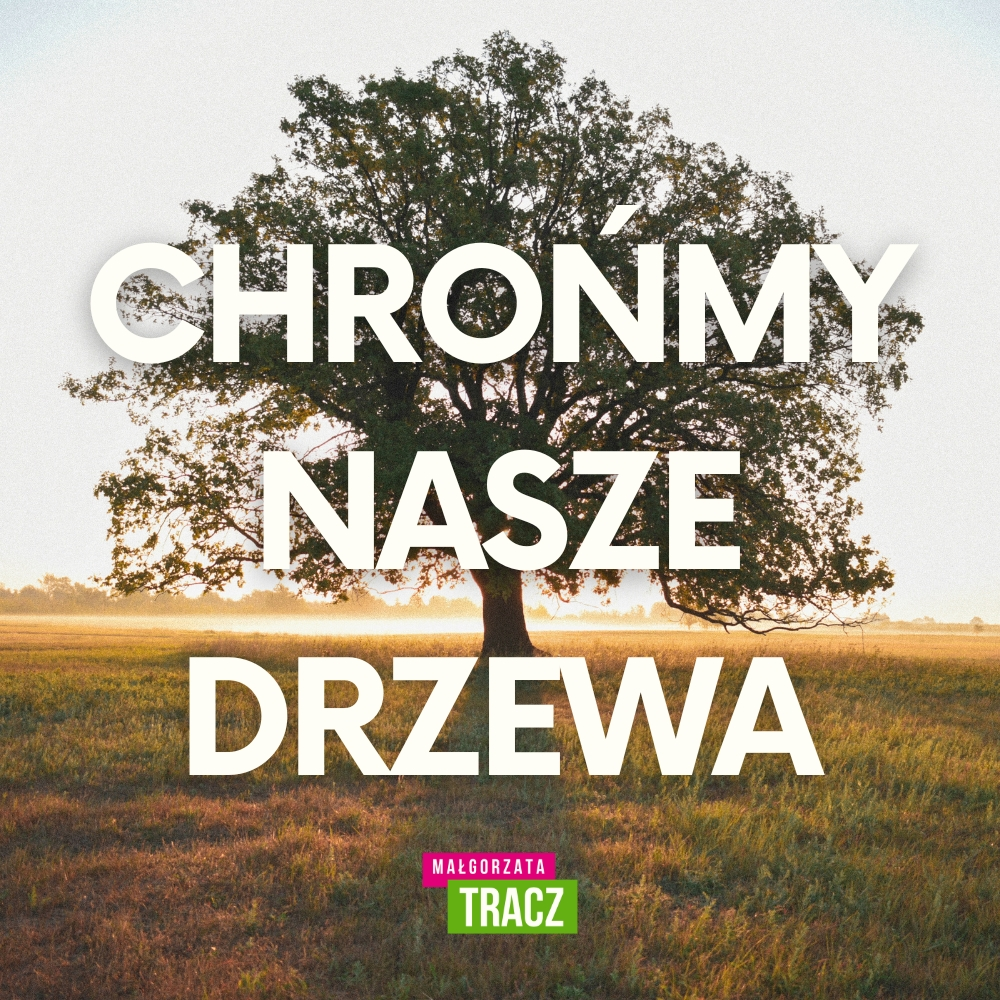 Zapytanie w sprawie wzmocnienia ochrony drzew w Rozporządzeniu Ministra Gospodarki z dnia 26 kwietnia 2013 r. w sprawie warunków technicznych, jakim powinny odpowiadać sieci gazowe i ich usytuowanie