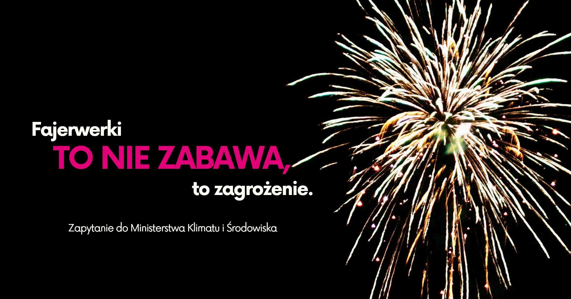 Zapytanie w sprawie całkowitego zakazu fajerwerków