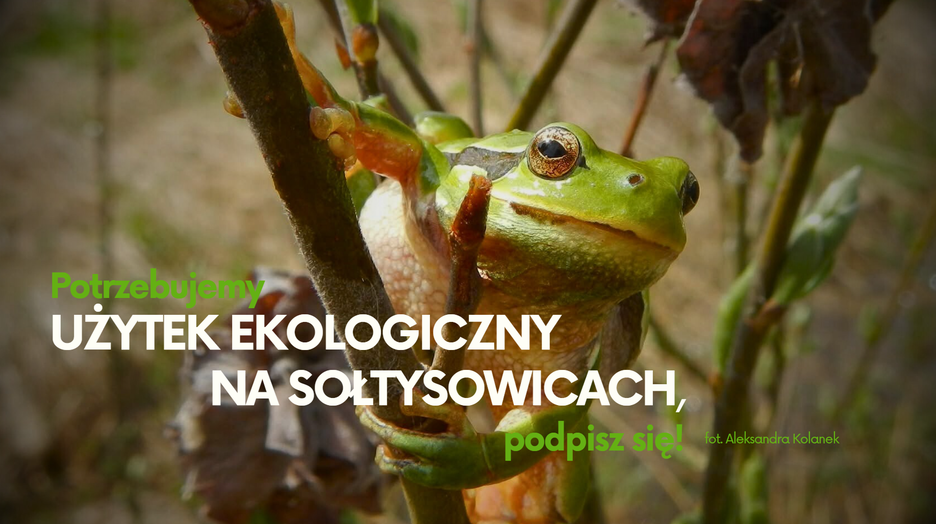 Obywatelskim projekt uchwały w sprawie ustanowienia użytku ekologicznego na Sołtysowicach