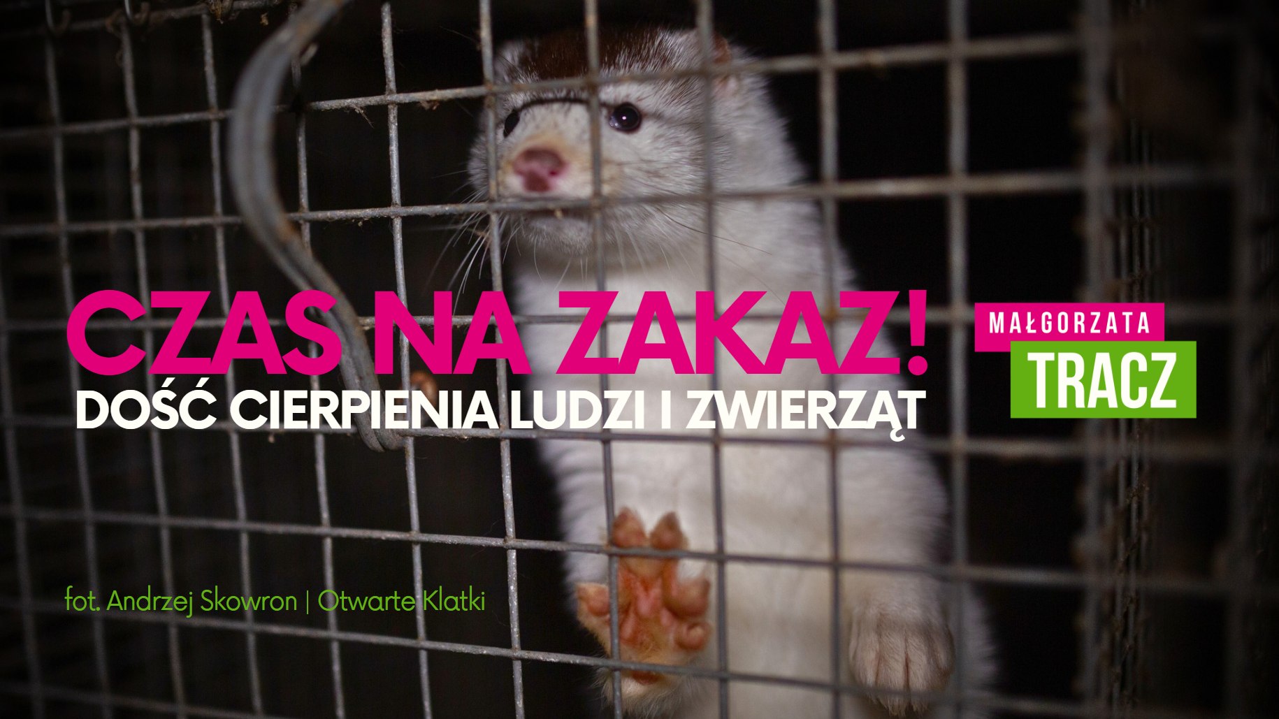 Rocznica złożenia projektu ustawy zakazującej hodowli zwierząt na futro