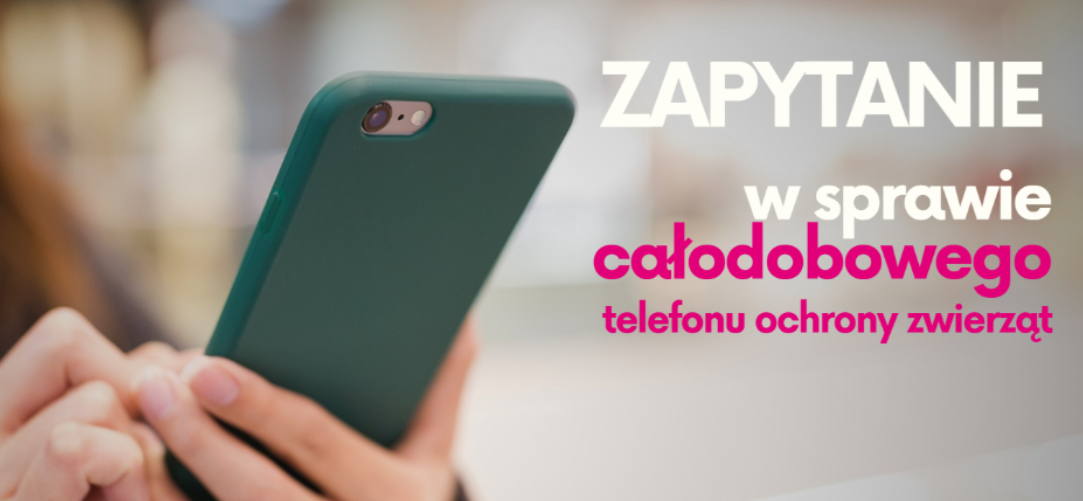 Zapytanie poselskie w sprawie całodobowego telefonu ochrony zwierząt