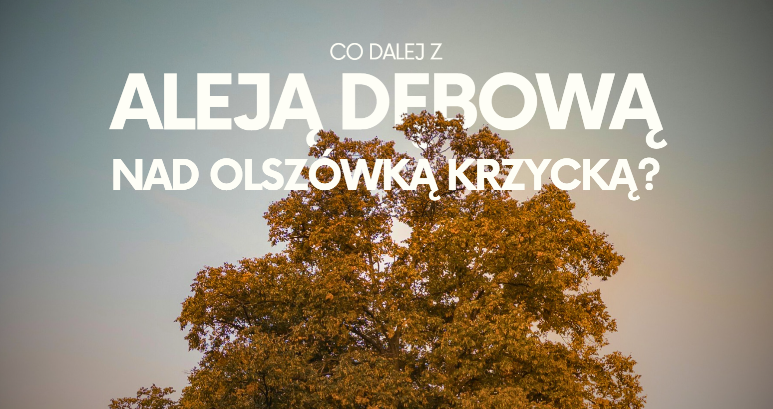 Pismo do Prezydenta Sutryka w sprawach mieszkańców osiedla Krzyki-Partynice