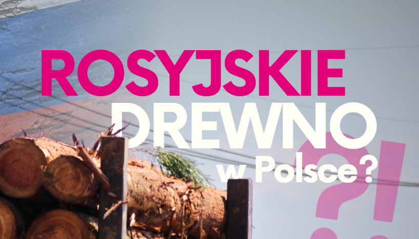 Interpelacje w sprawie egzekwowania embarga na rosyjskie i białoruskie produkty drzewne oraz wdrażania EUDR w Polsce