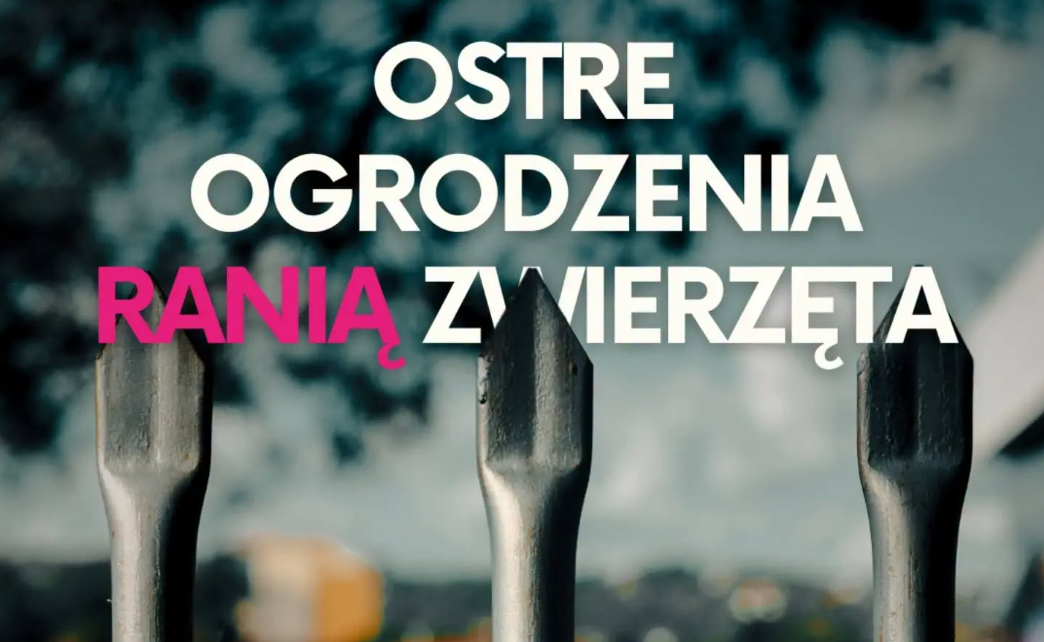 Interpelacja ws. ostrych grodzeń