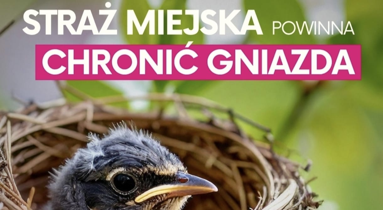 Interpelacja o nadaniu kompetencji strażom gminnych w zakresie ochrony siedlisk ptaków