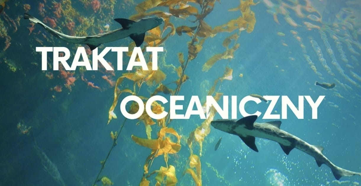 Interpelacja w sprawie Traktatu Oceanicznego