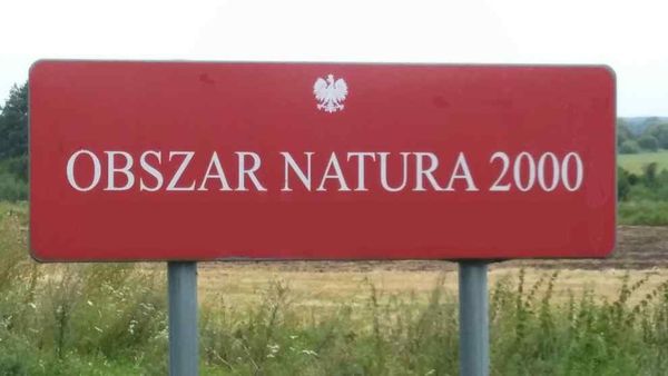 Interwencja w sprawie zaorania obszaru na terenie sołectwa Giebułtów objętego ochroną Natura 2000