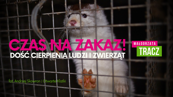 Rocznica złożenia projektu ustawy zakazującej hodowli zwierząt na futro