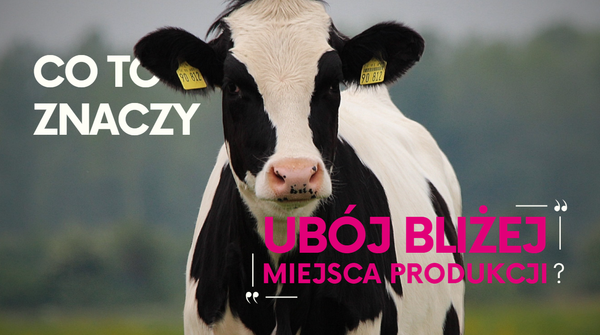 Zapytanie poselskie w sprawie wsparcia uboju zwierząt na cele   komercyjne bliżej miejsca produkcji