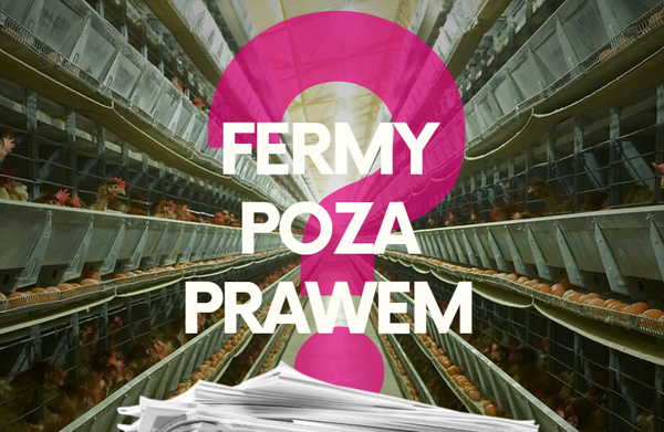 Interpelacje w sprawie pozwoleń zintegrowanych